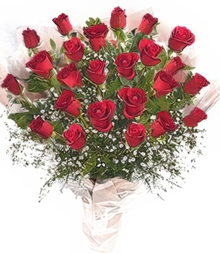 Product: 2 Dozen Red Roses Wrapped