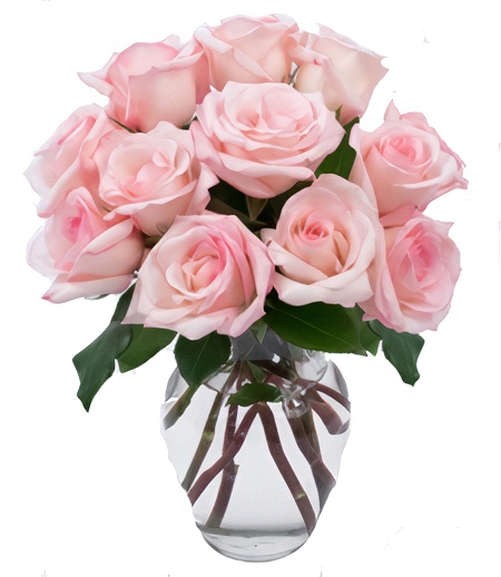 Product: Dozen Pink Roses w/Vase